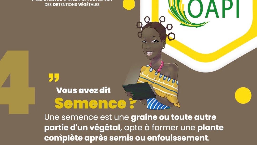 OAPI : Formation des Experts sur les Obtentions Végétales à Lomé